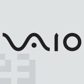 Vaio